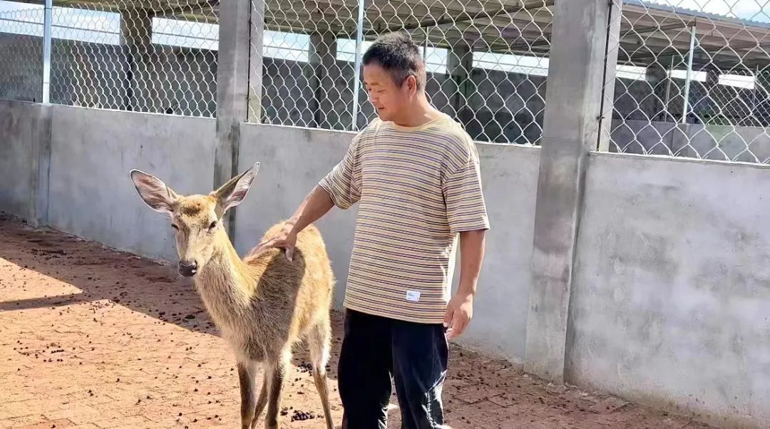 sw天风电子